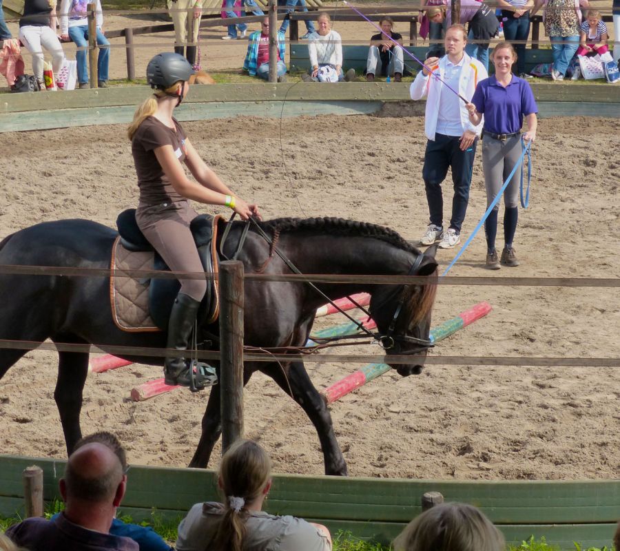 Annelies Rienksma paarden coach