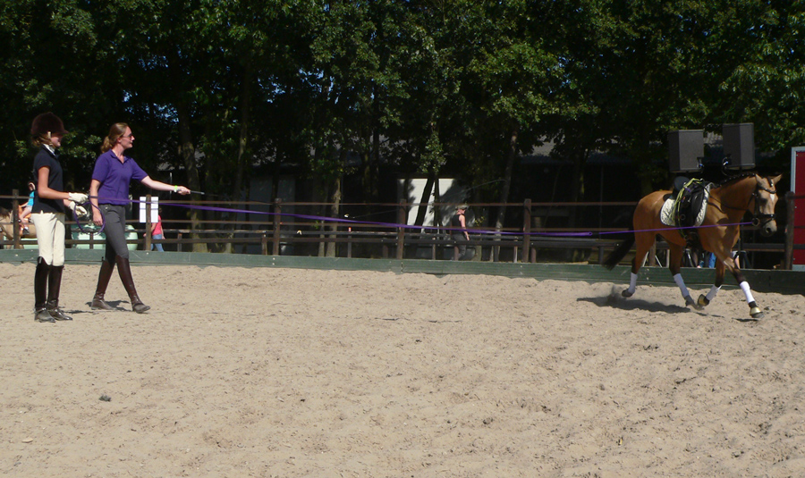 Rijvragen ruiter en paard