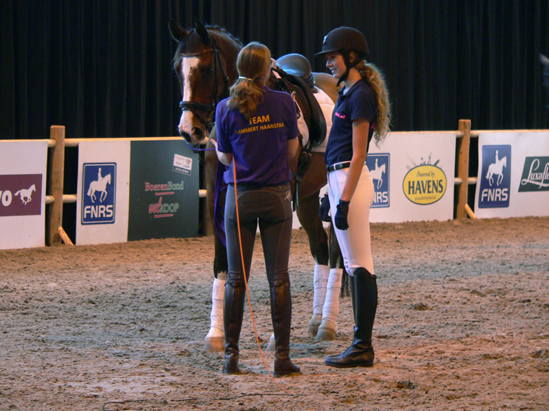 Training ruiter en paard friesland